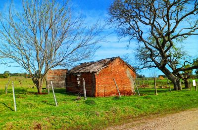 TENGO CALLE | La Revolución de las Formas: Del Damero Ciego al Urbanismo Científico en el Uruguay del Siglo XX